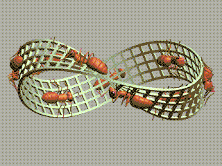 http://www.mathcurve.com/surfaces/mobius/mobiusescher.gif